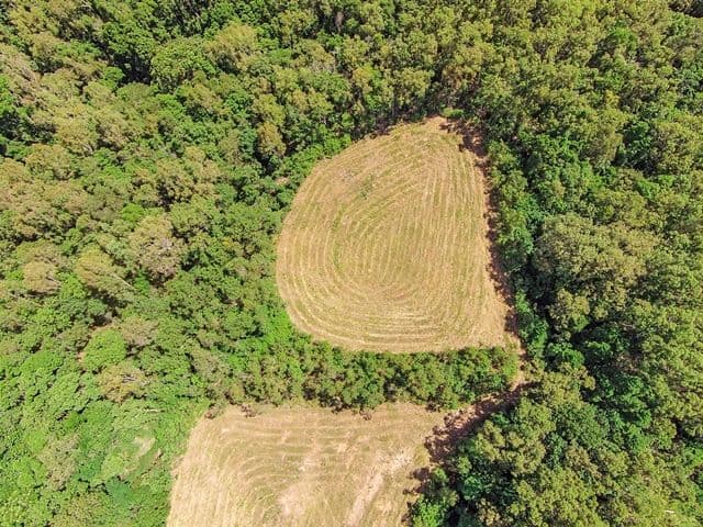 Lot 18 Ferrero Road, Craiglie QLD 4877, Craiglie - Thumbnail 8