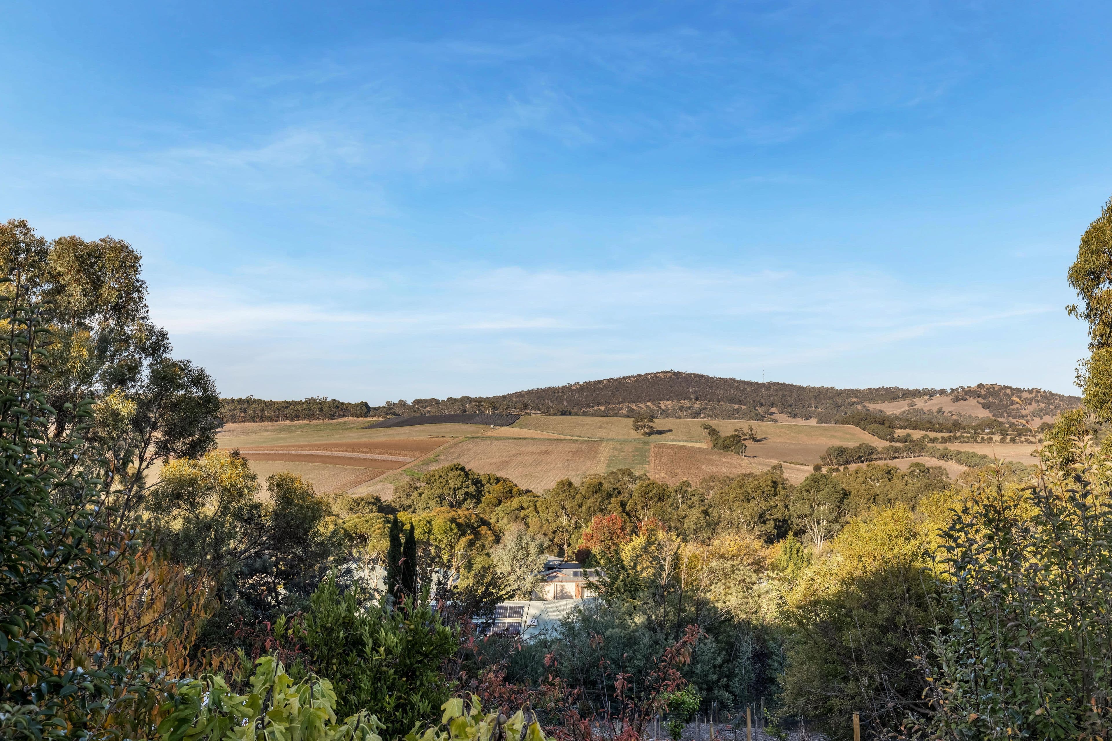 6 Schaefer Court, Mount Barker SA 5251, Mount Barker - Thumbnail 5