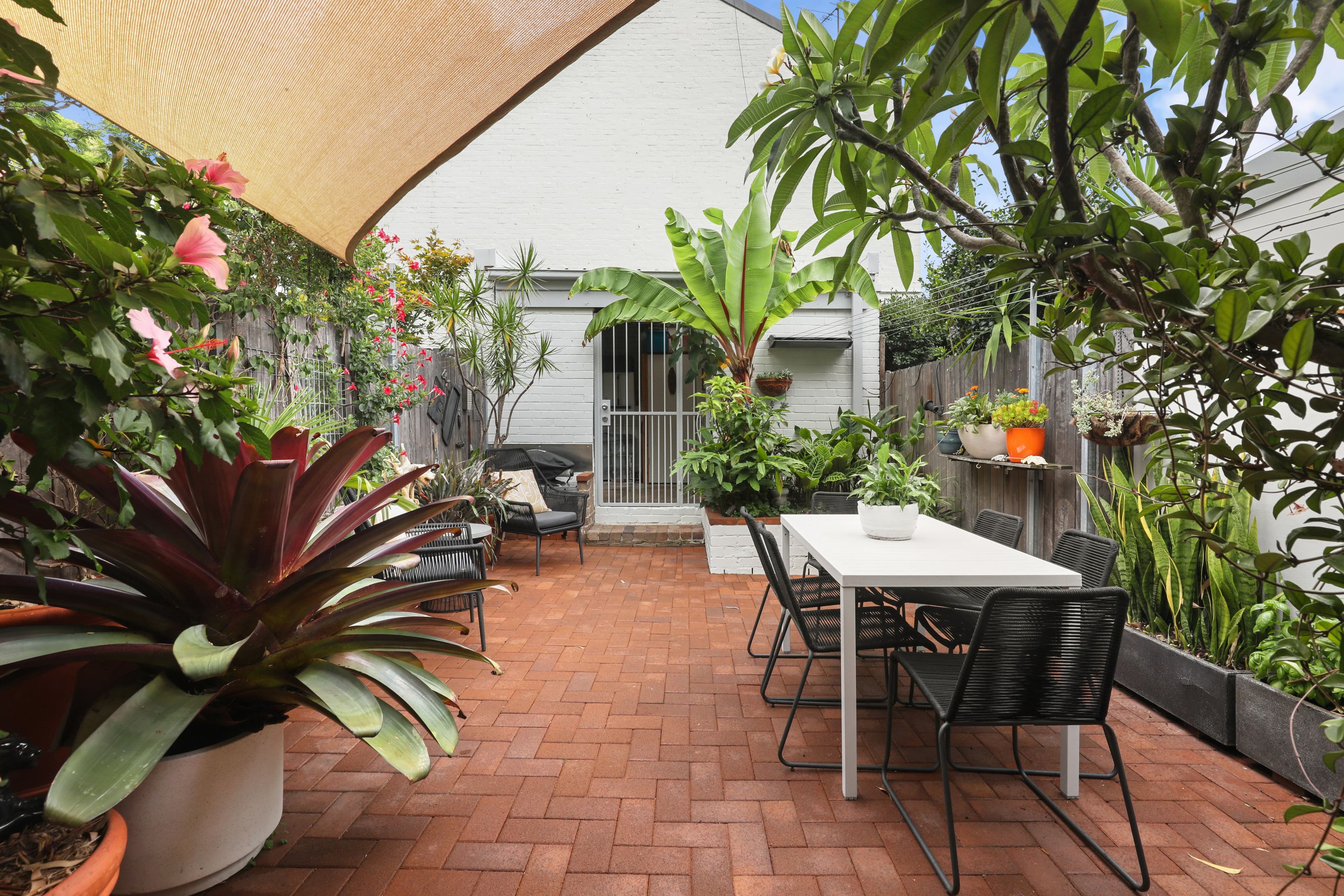 11 Harold Street, Newtown NSW 2042, Newtown - Thumbnail 3