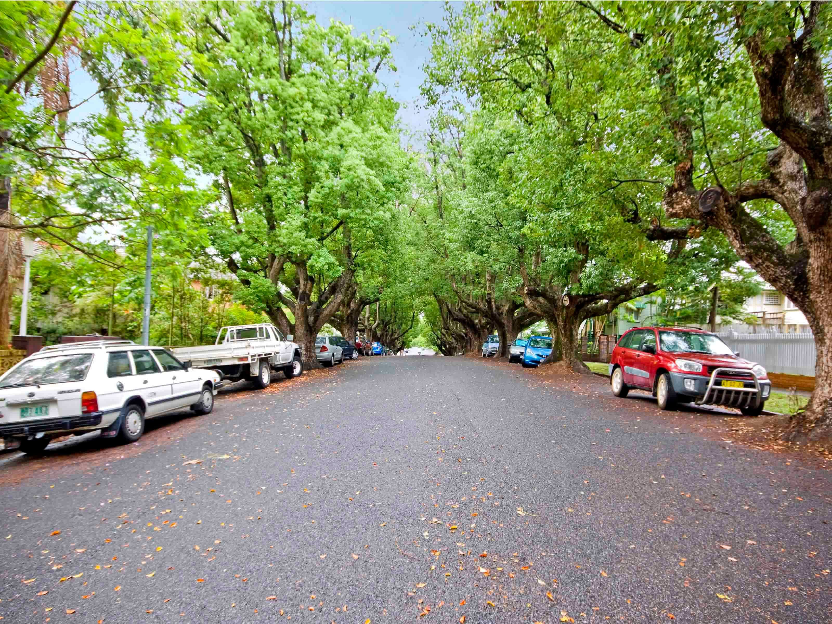 1 ABBOTT Street, NEW FARM QLD 4005, New Farm - Thumbnail 3