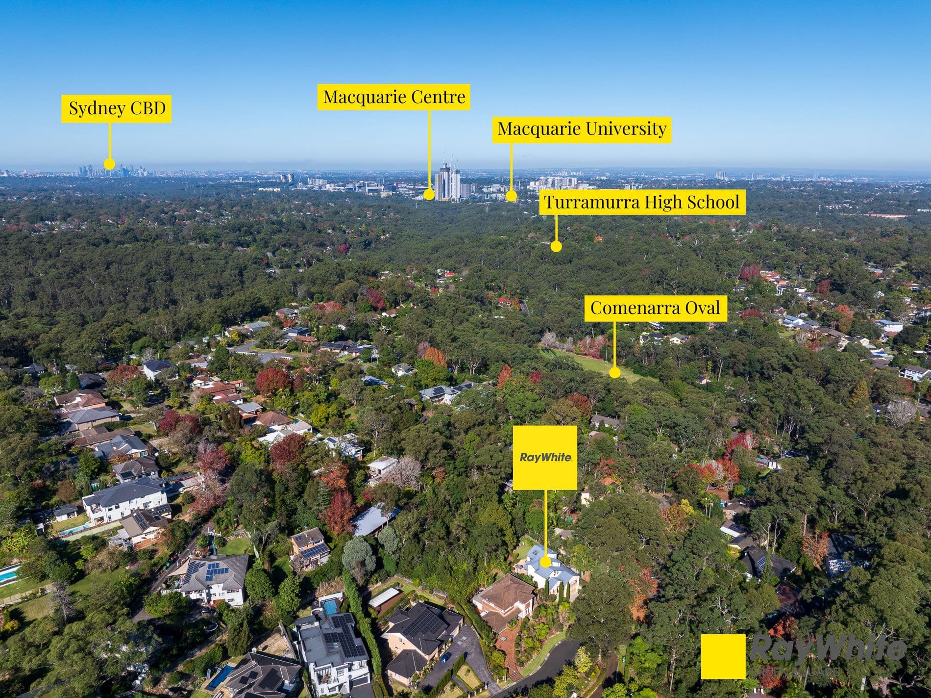 11 Forwood Avenue, Turramurra NSW 2074, Turramurra - Thumbnail 6
