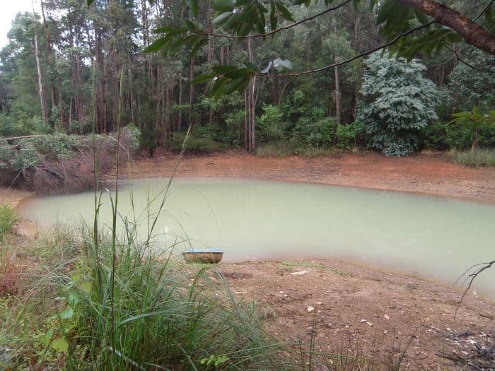Lot 5 Chalwell Road, Nannup WA 6275, Nannup - Thumbnail 3