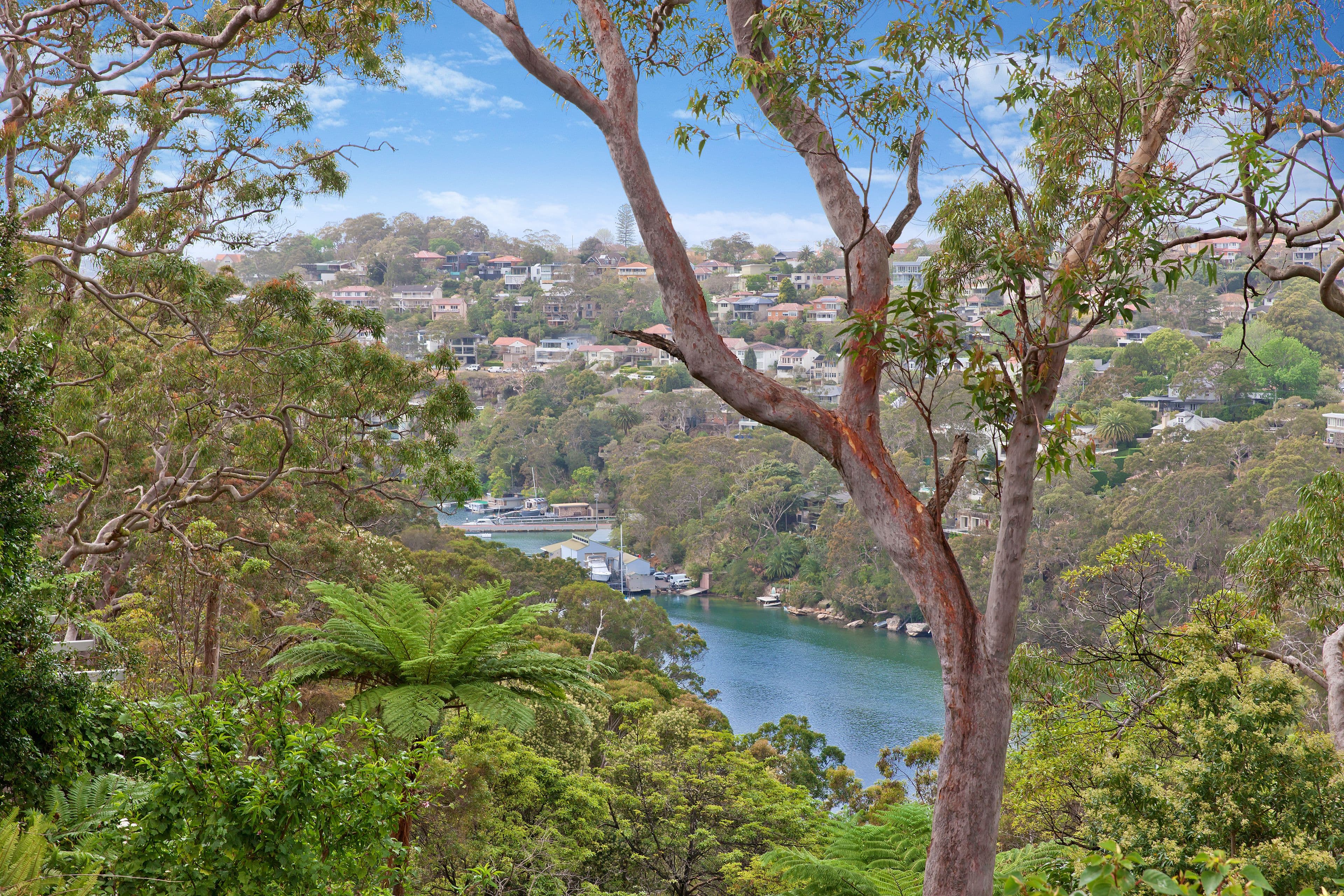 37 Hampton Street, Hawthorn - Thumbnail 3