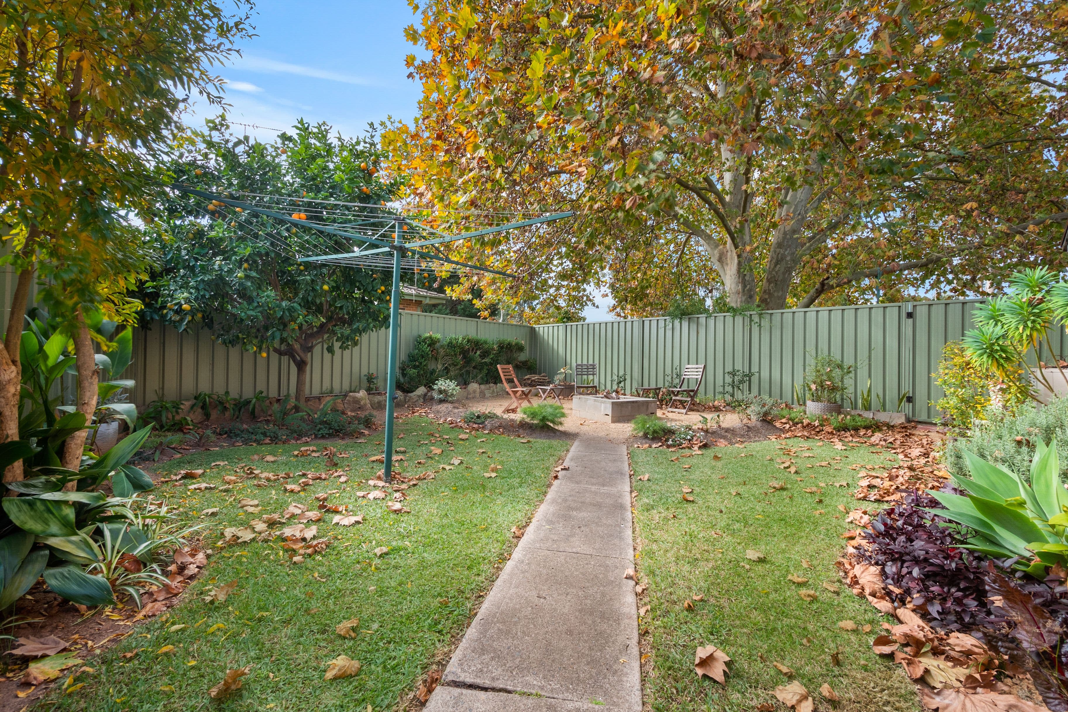 16 Powell Street, Hobartville NSW 2753, Hobartville - Thumbnail 5