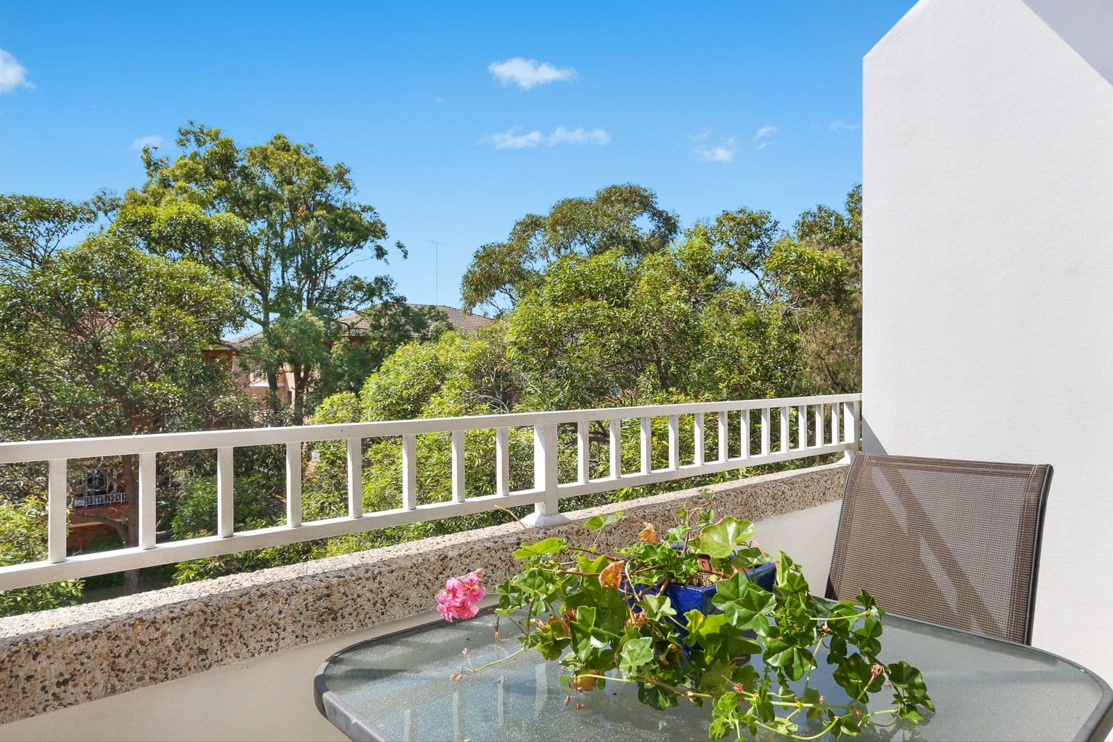 1 Hercules Road, Brighton Le Sands NSW 2216, Brighton-Le-Sands - Thumbnail 2