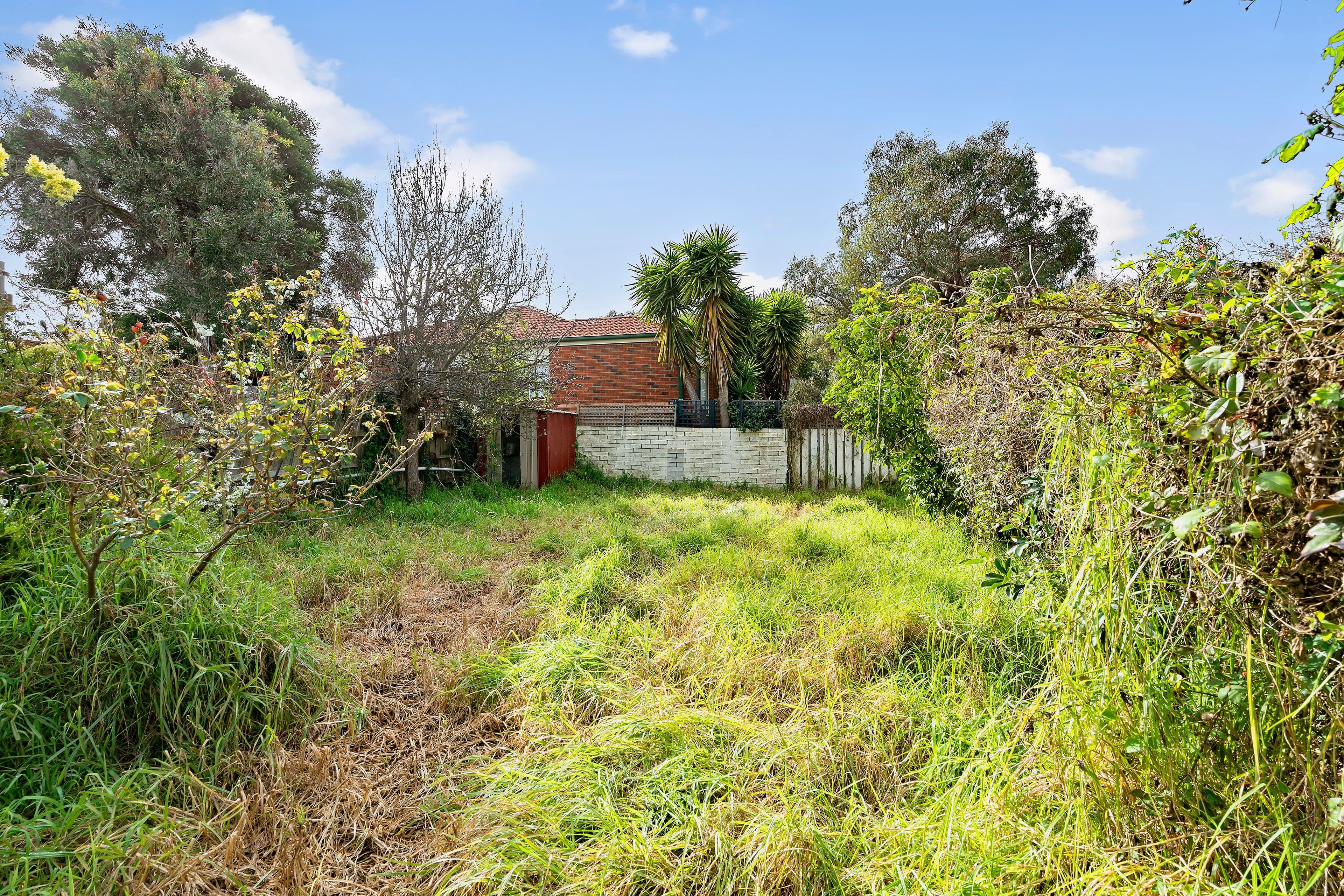 156 Chute Street, Mordialloc VIC 3195, Mordialloc - Thumbnail 8