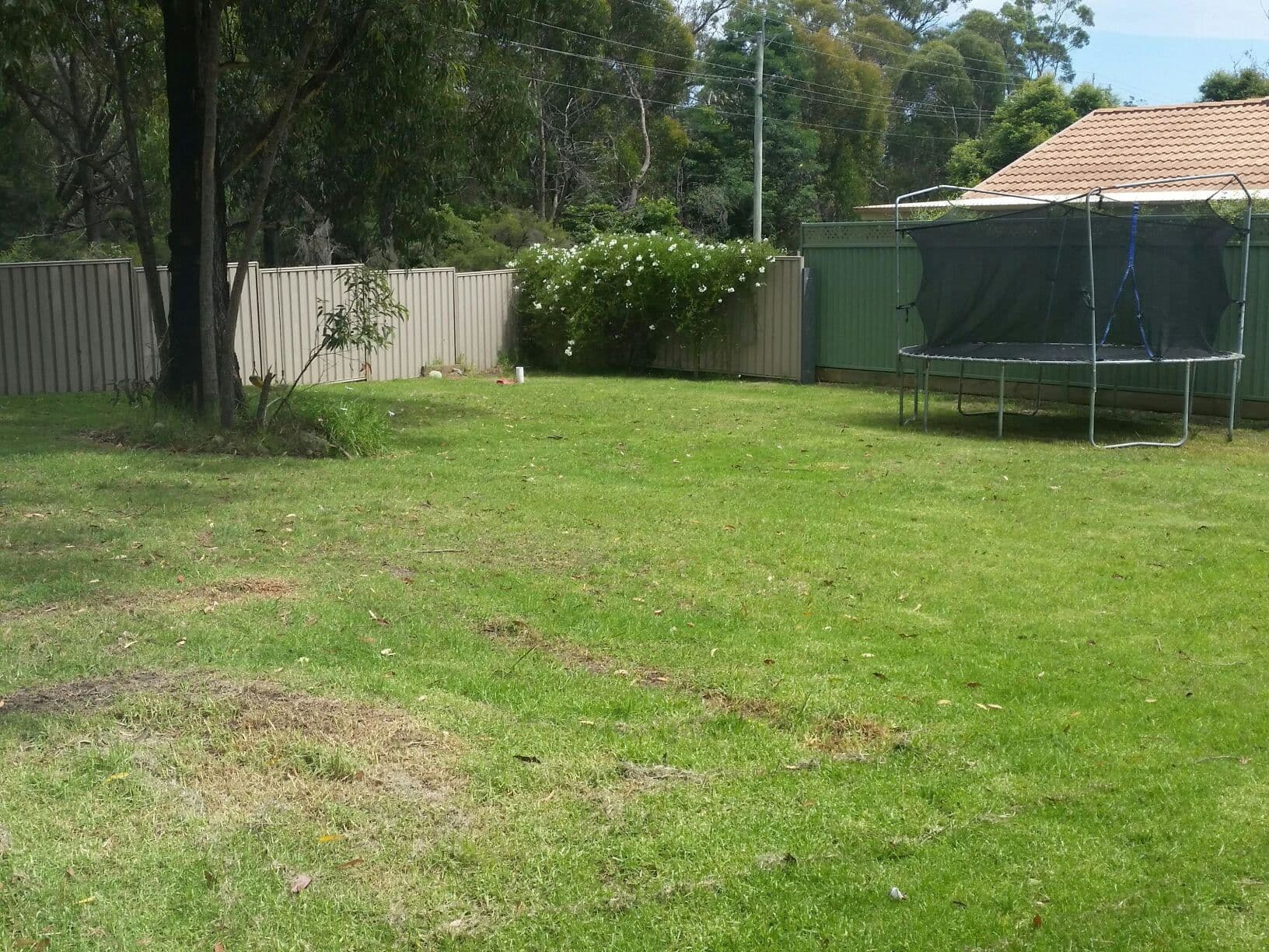 166 Wilson Drive, Hill Top - Thumbnail 6