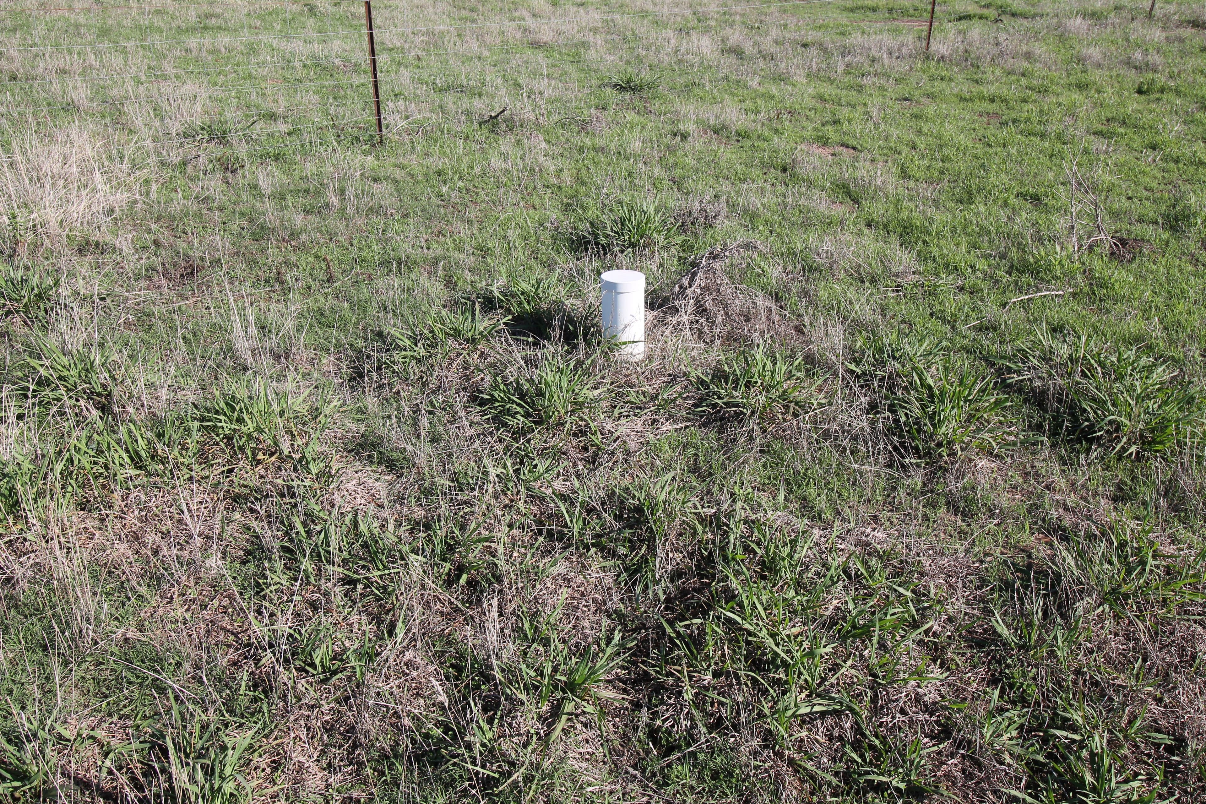 22 McGee Place Murringo Via, Young NSW 2594, Young - Thumbnail 3