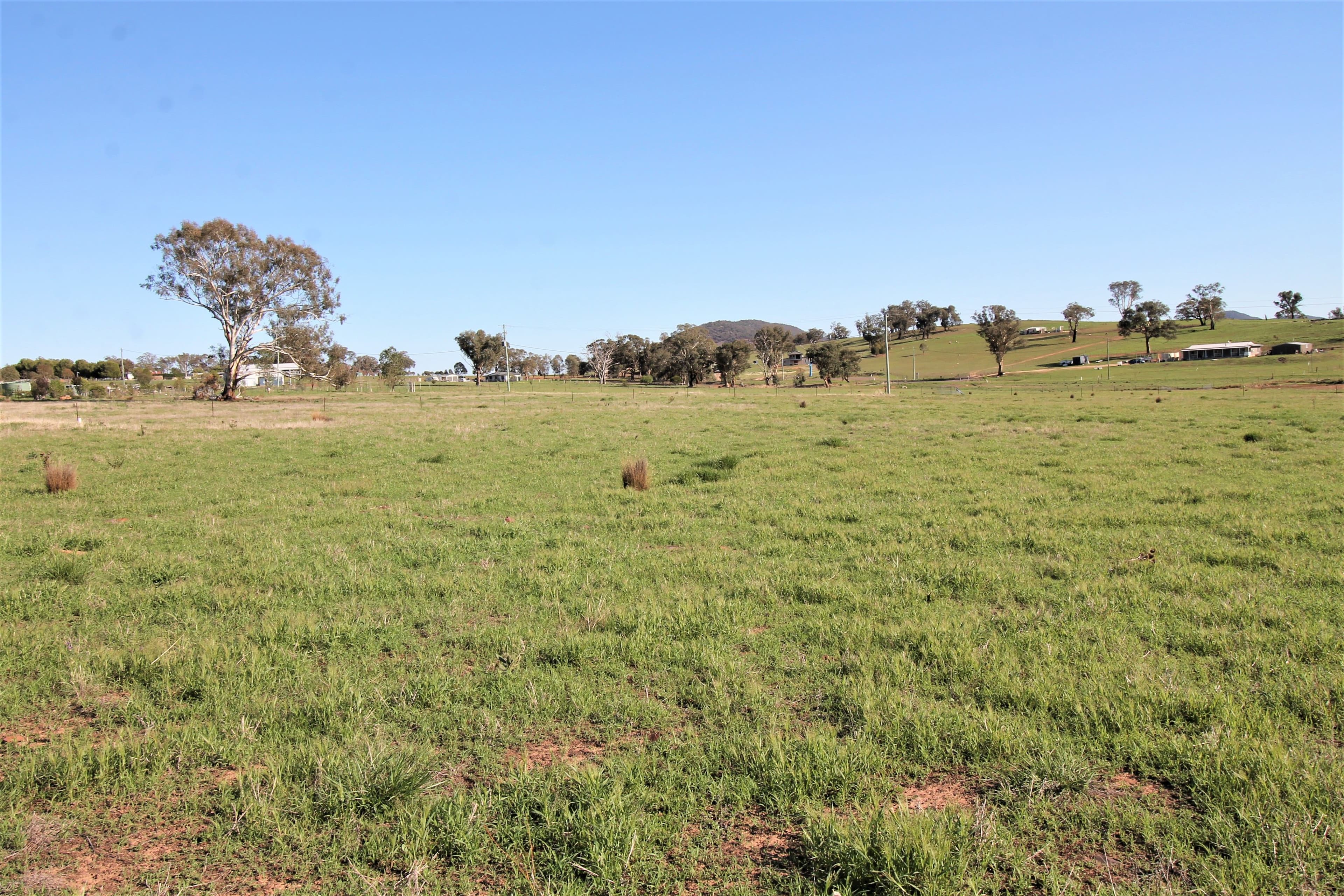 22 McGee Place Murringo Via, Young NSW 2594, Young - Thumbnail 6