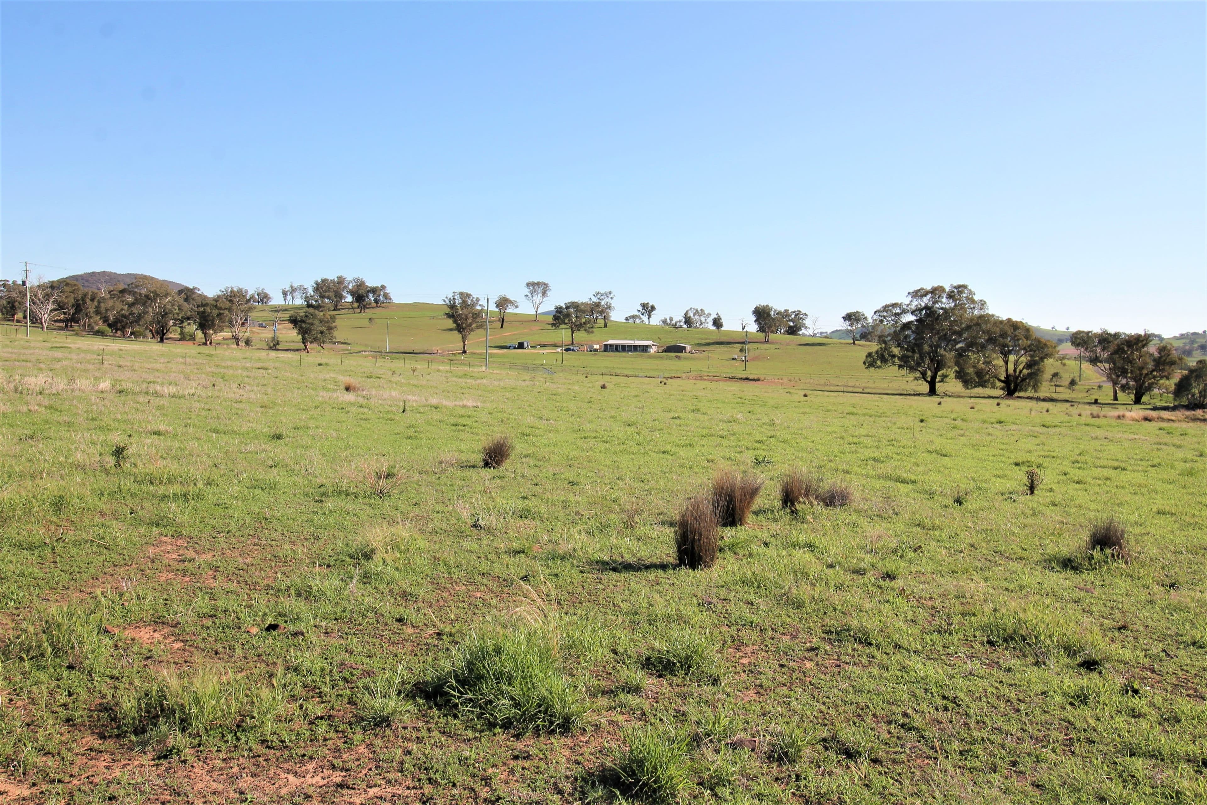 22 McGee Place Murringo Via, Young NSW 2594, Young - Thumbnail 7
