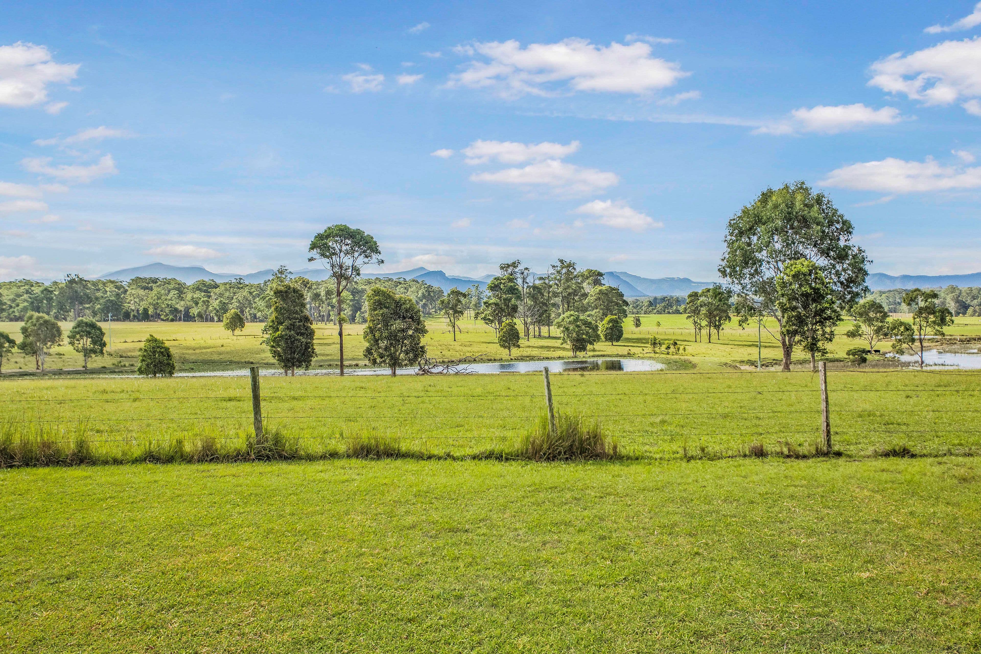 125 Shorts Road, Wingham NSW 2429, Wingham - Thumbnail 2