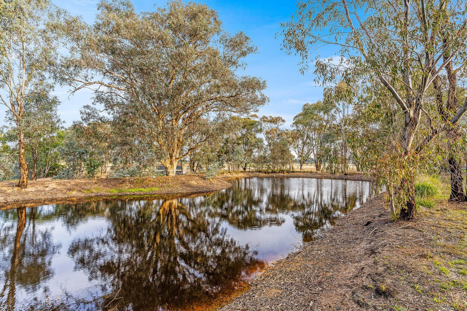 1161 Strathfieldsaye Road, Strathfieldsaye VIC 3551, Strathfieldsaye - Thumbnail 6