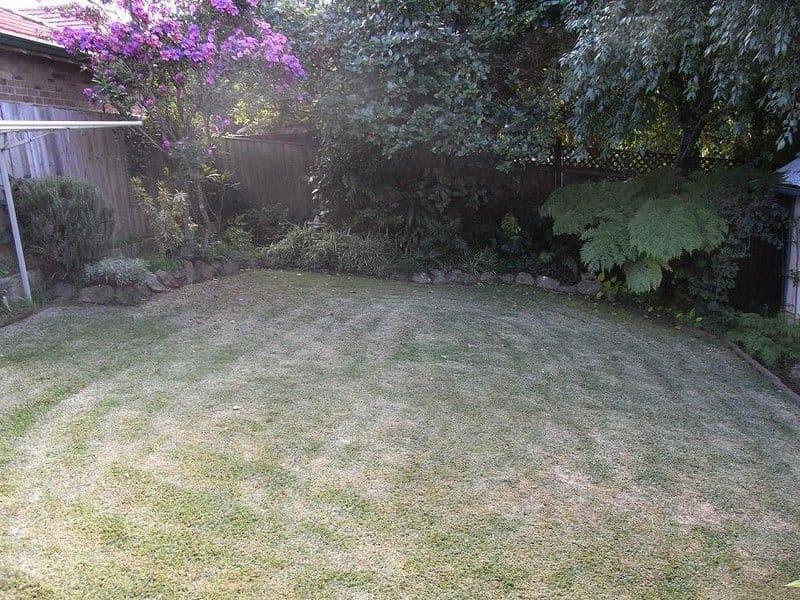 3 Meakem Street, HURSTVILLE NSW 2220, Hurstville - Thumbnail 4