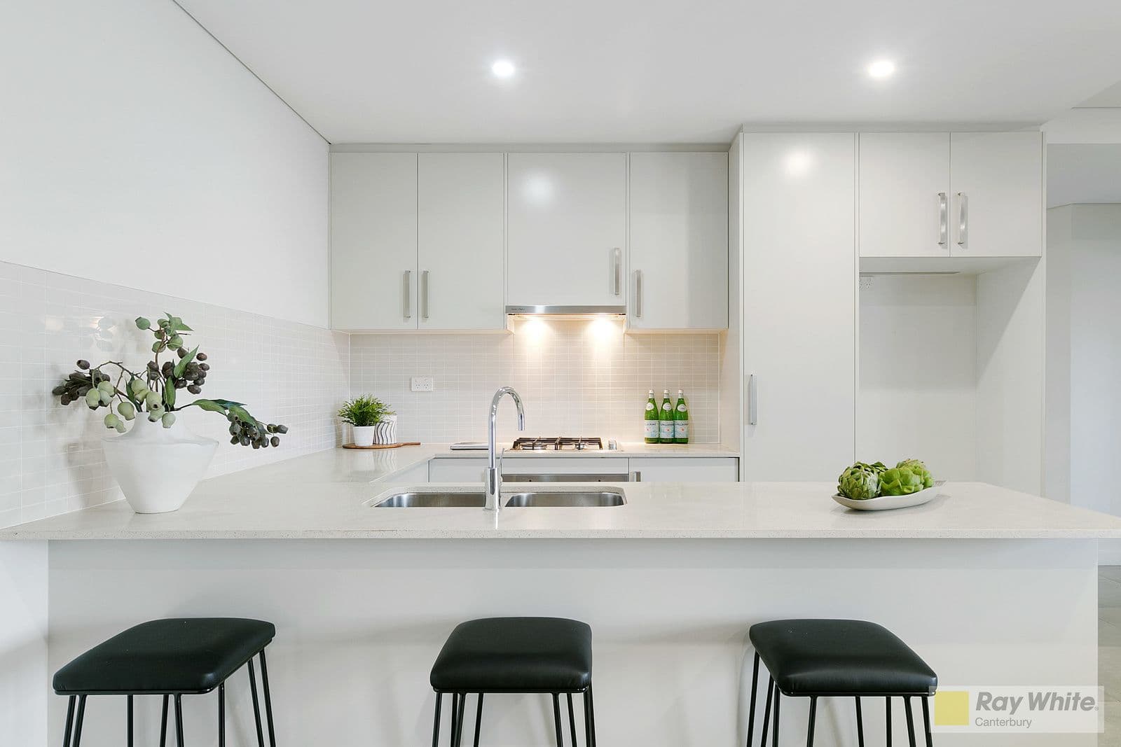 231 Canterbury Road, Canterbury NSW 2193, Canterbury - Thumbnail 4