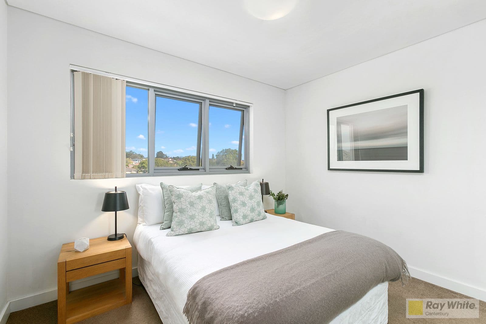 231 Canterbury Road, Canterbury NSW 2193, Canterbury - Thumbnail 6