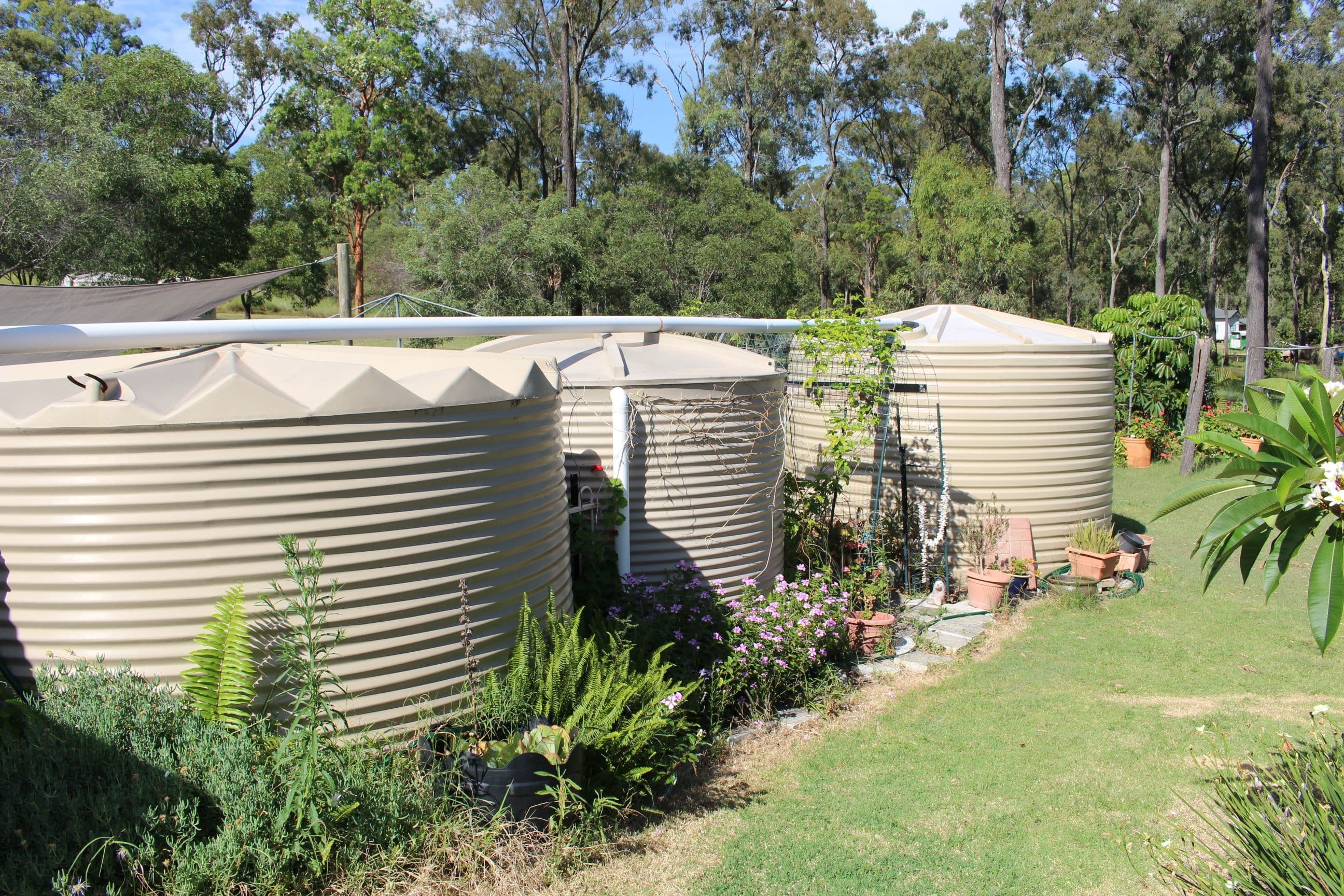 29 Bentley Drive, Regency Downs QLD 4341, Regency Downs - Thumbnail 2