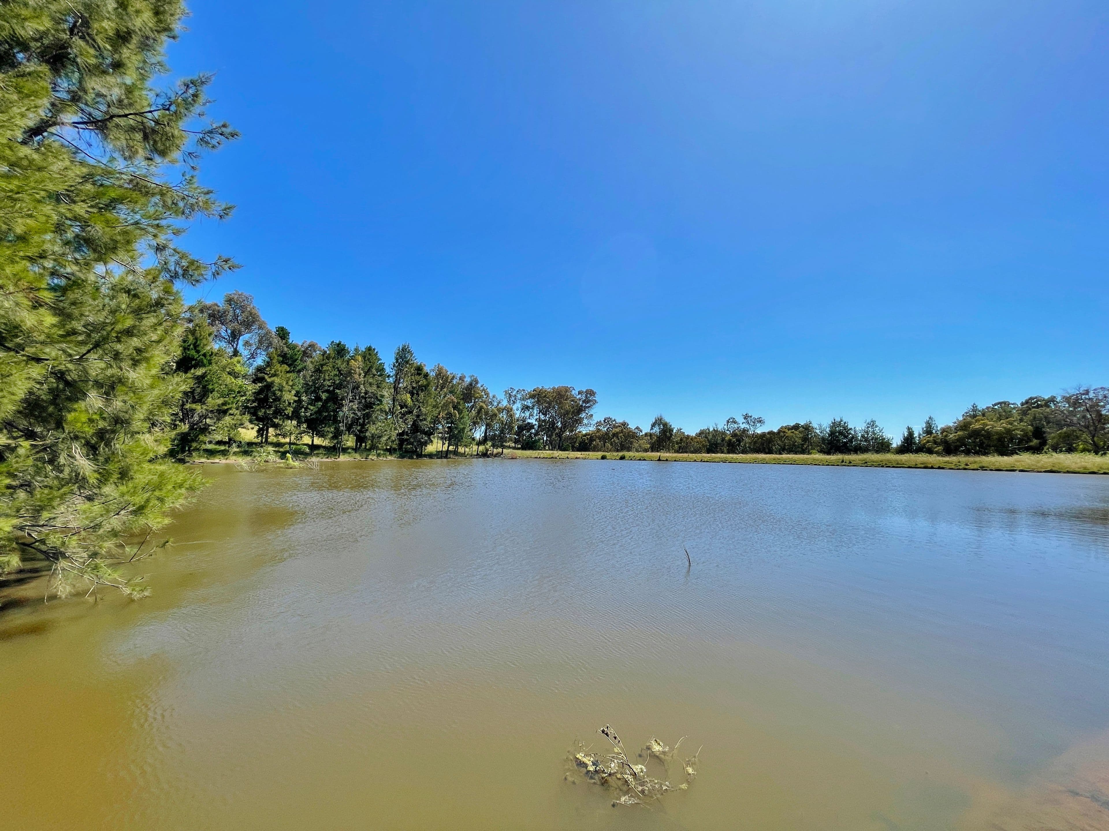120 Ratho Road, Young NSW 2594, Young - Thumbnail 6