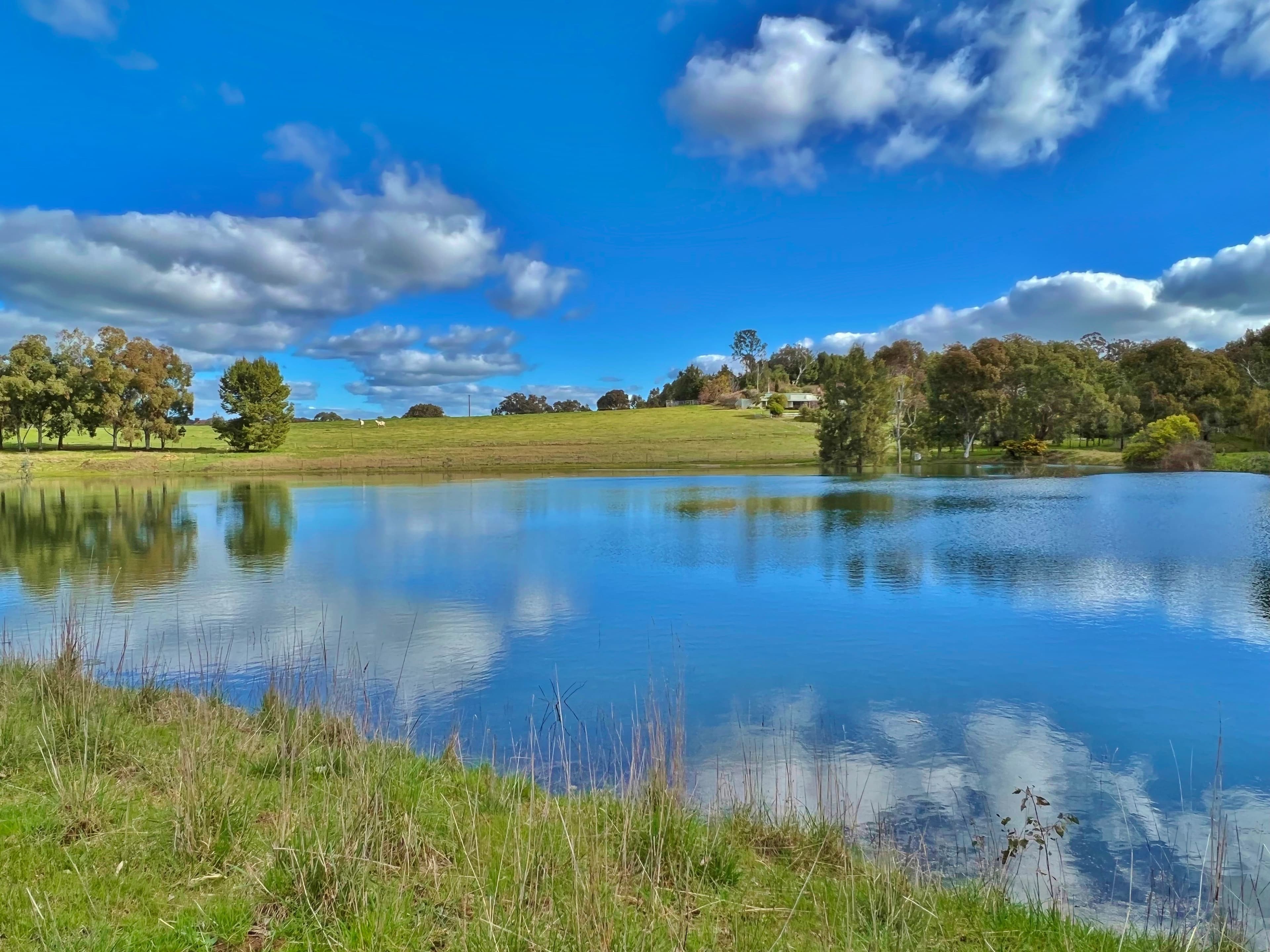 120 Ratho Road, Young NSW 2594, Young - Thumbnail 7