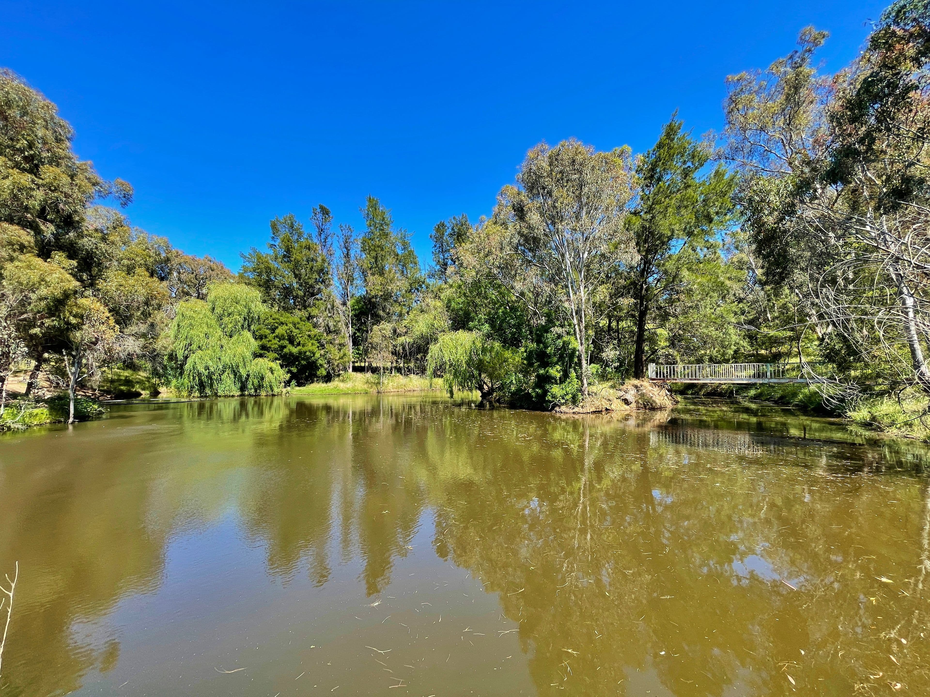 120 Ratho Road, Young NSW 2594, Young - Thumbnail 8
