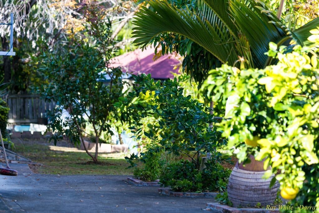 119 Azalea Street, Inala QLD 4077, Inala - Thumbnail 6