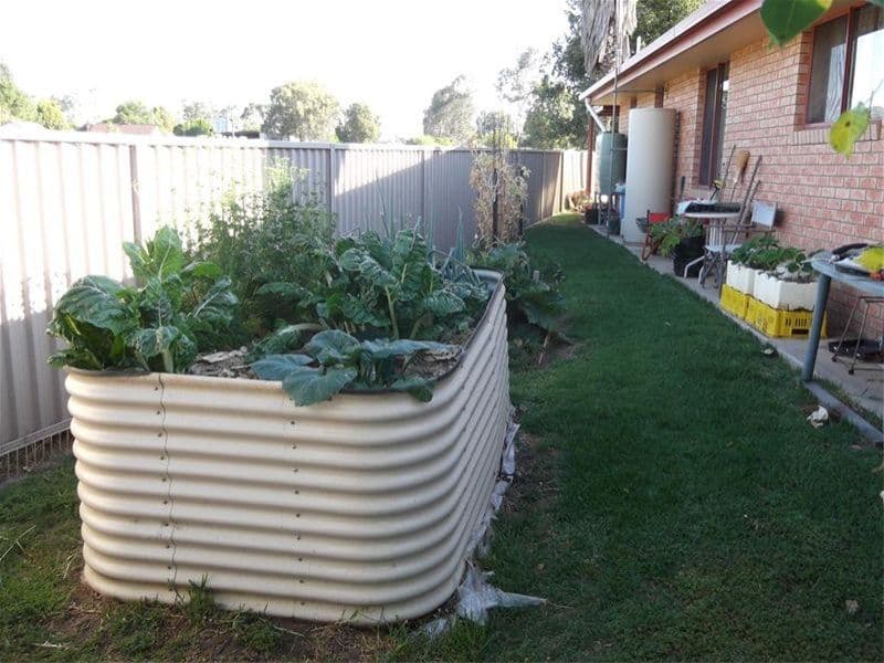 35 Parkes Street, COWRA NSW 2794, Cowra - Thumbnail 6