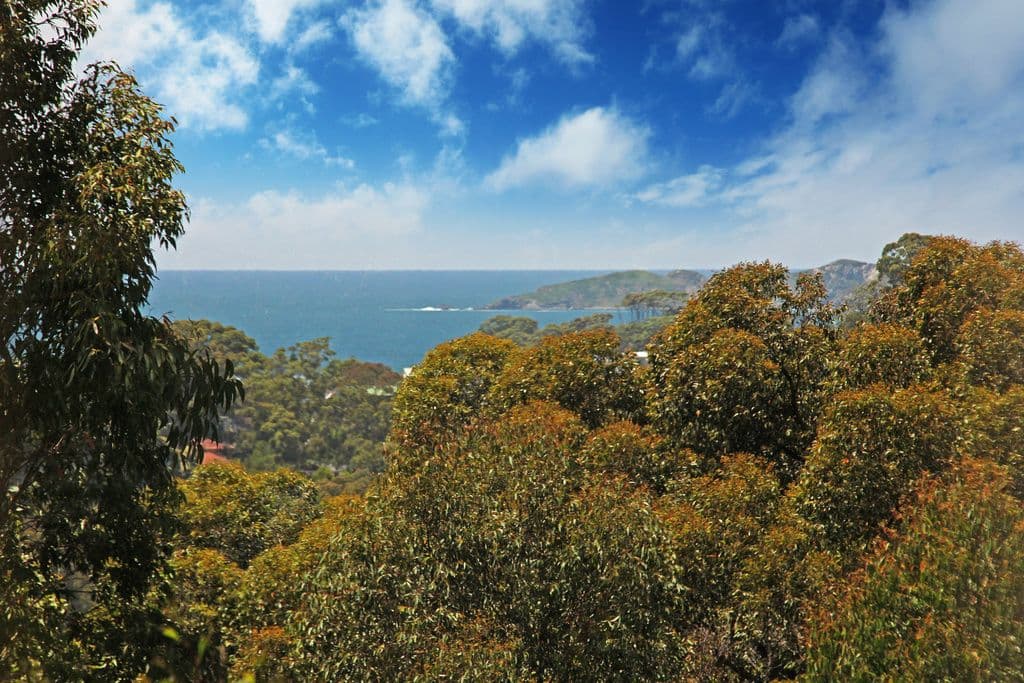 125 Vista Avenue, Catalina NSW 2536, Catalina - Thumbnail 4