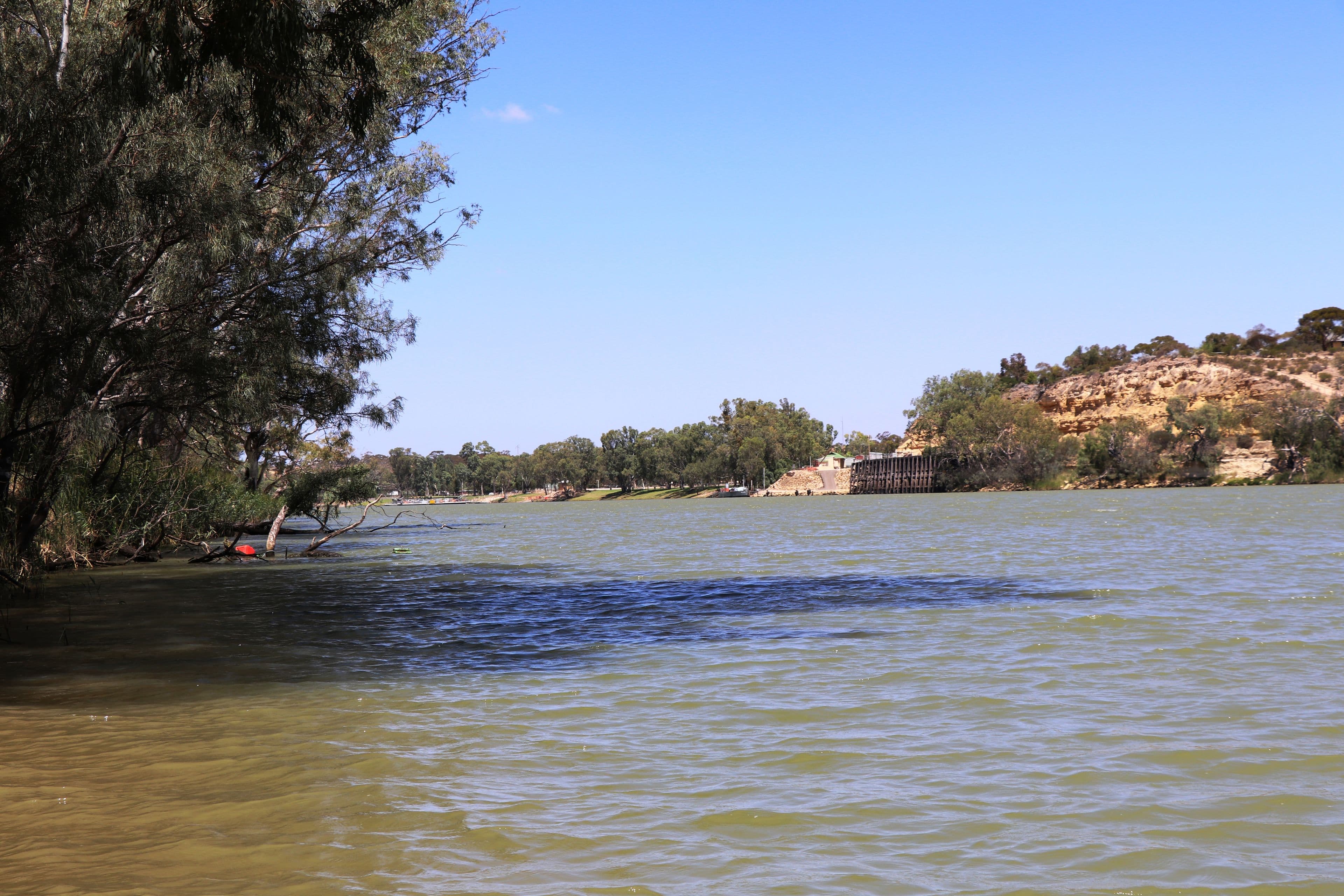 Lot 257 Old Cadell Road, Morgan SA 5320, Morgan - Thumbnail 4