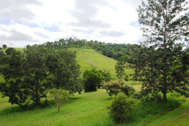 142 Allen Road, CHATSWORTH QLD 4570, Chatsworth - Thumbnail 3