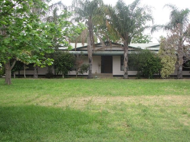 41 Hombsch Road, BARMERA SA 5345, Barmera - Image 1