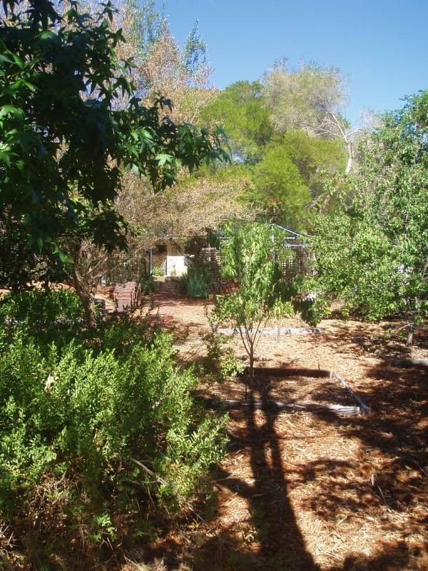 20 Andrew Street, KALAMUNDA WA 6076, Kalamunda - Thumbnail 4