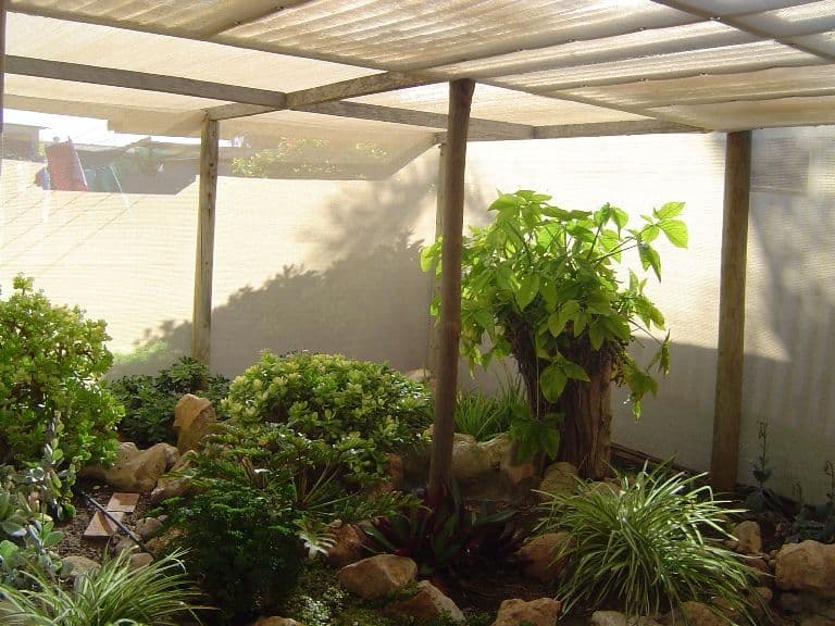 23 Dodd Street, DONGARA WA 6525, Dongara - Thumbnail 4