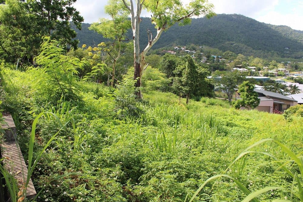 Lot 33 Beth Court, Cannonvale QLD 4802, Cannonvale - Thumbnail 5