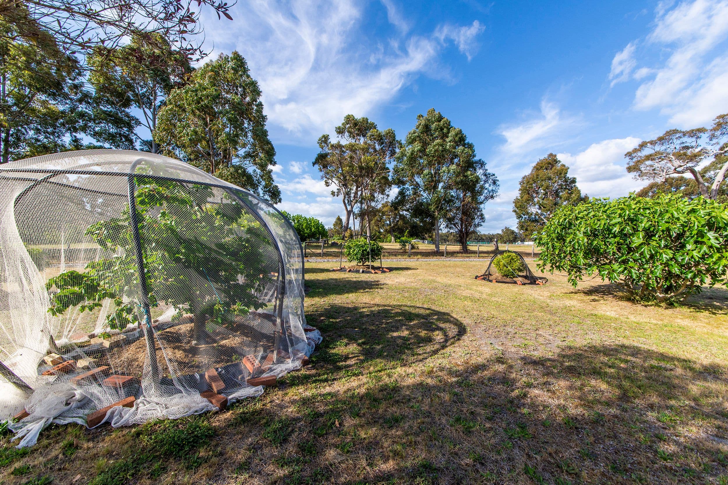 37 Dean Road, Nannup WA 6275, Nannup - Thumbnail 6