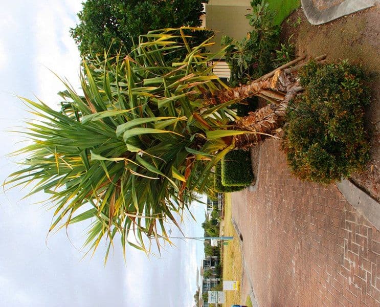 11 River Edge Court, TWIN WATERS QLD 4564, Twin Waters - Thumbnail 5