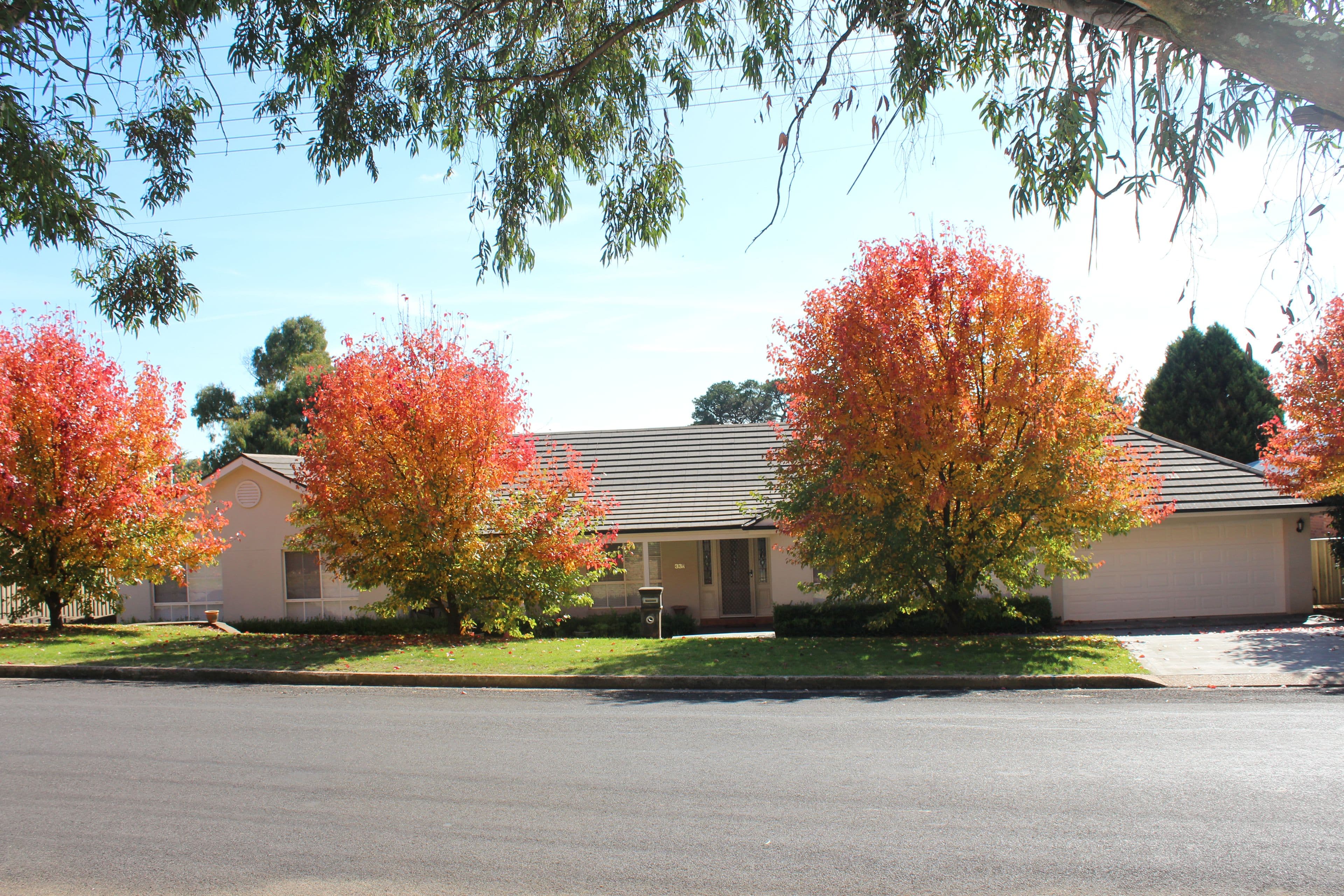 33 Bligh Street, Oberon - Thumbnail 4