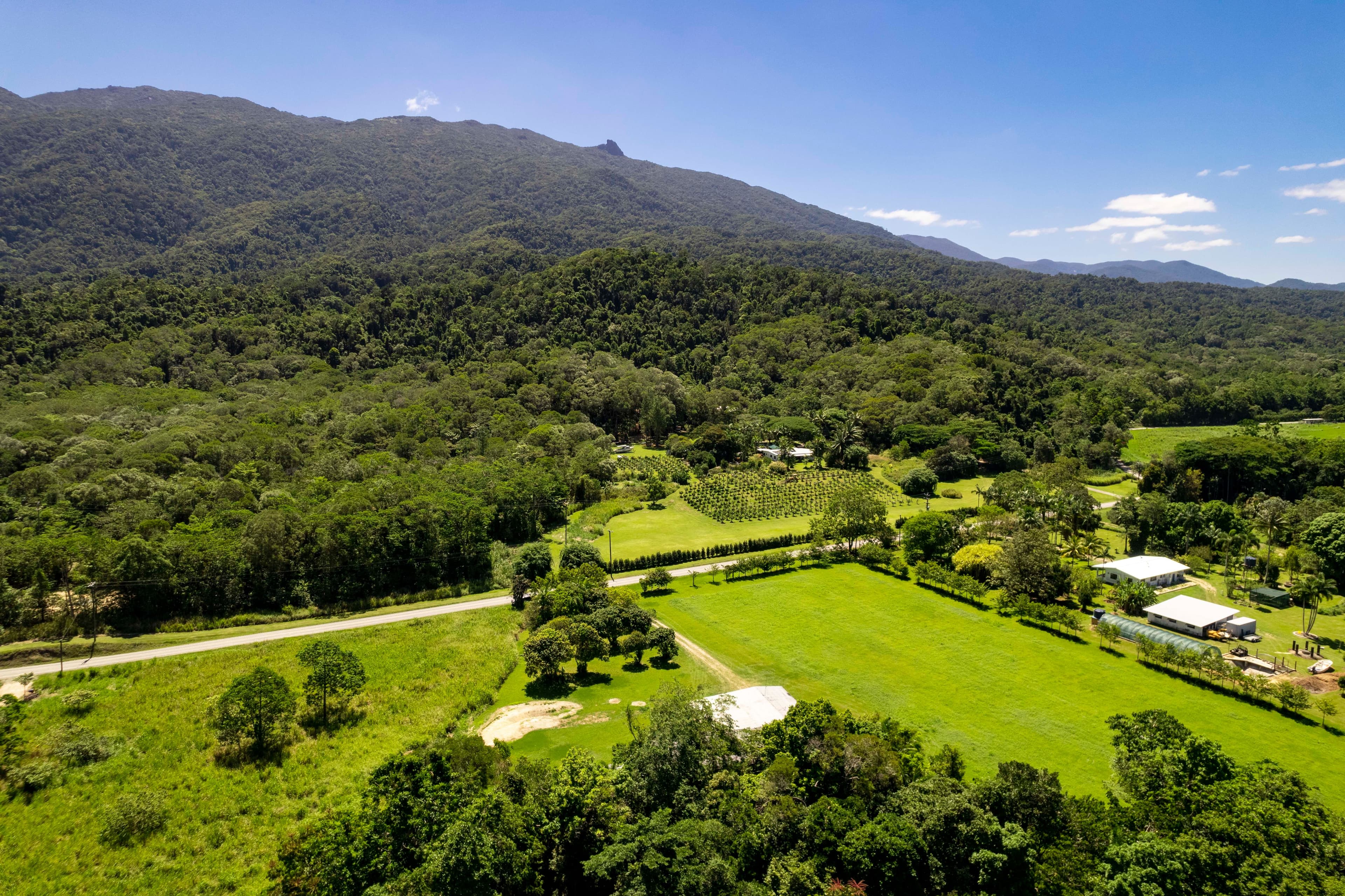 492 Whyanbeel Road, Whyanbeel QLD 4873, Whyanbeel - Thumbnail 5