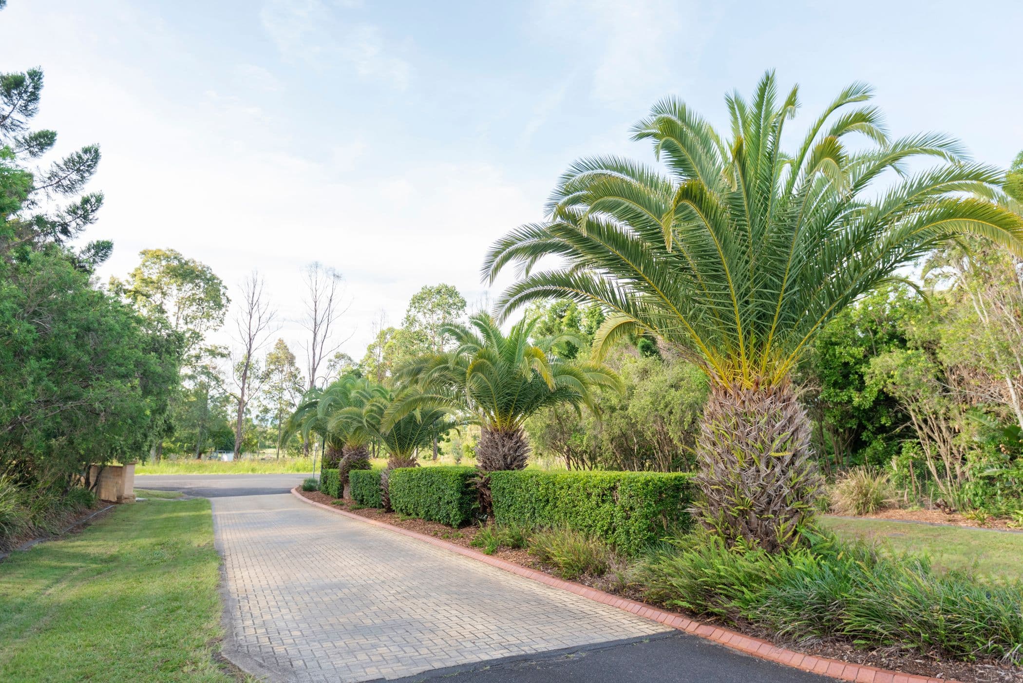 Lot 611 Grey Gum Close, CANIABA NSW 2480, Caniaba - Thumbnail 7