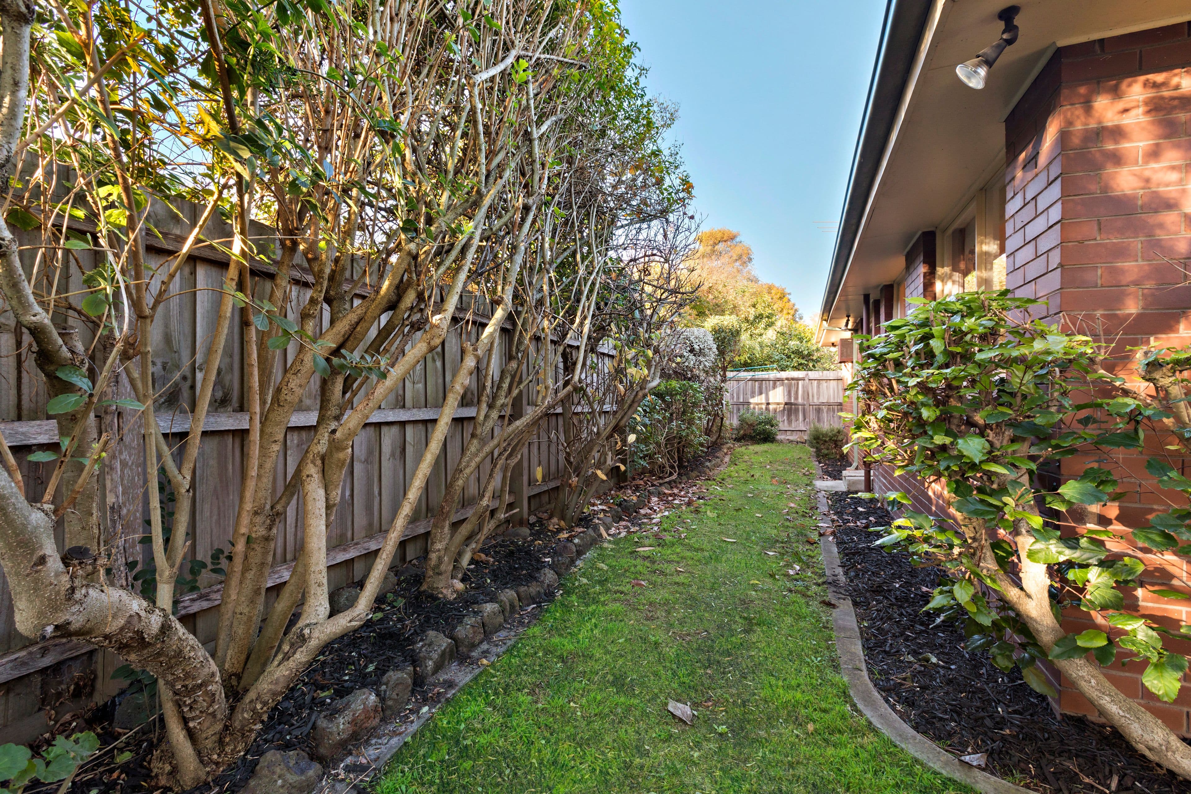 289 Waverley Road, Mount Waverley VIC 3149, Mount Waverley - Thumbnail 8