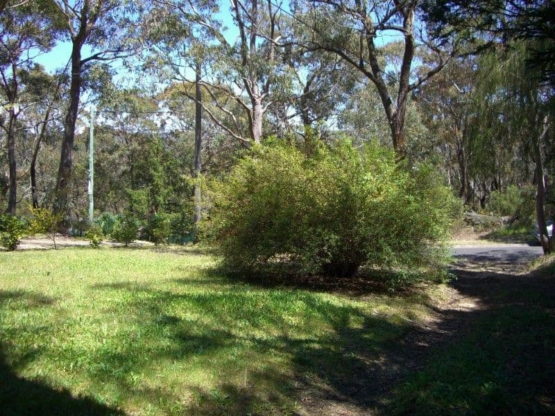 86 Boronia Road, BULLABURRA NSW 2784, Bullaburra - Thumbnail 3