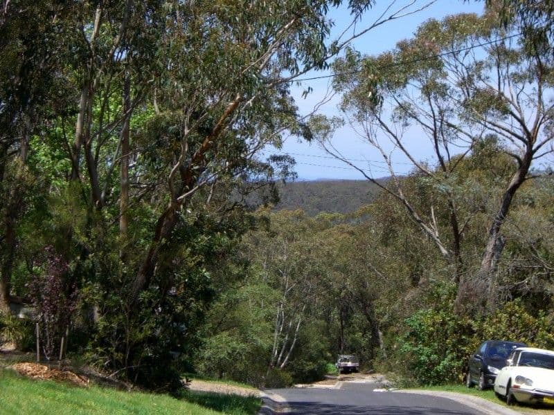86 Boronia Road, BULLABURRA NSW 2784, Bullaburra - Thumbnail 7