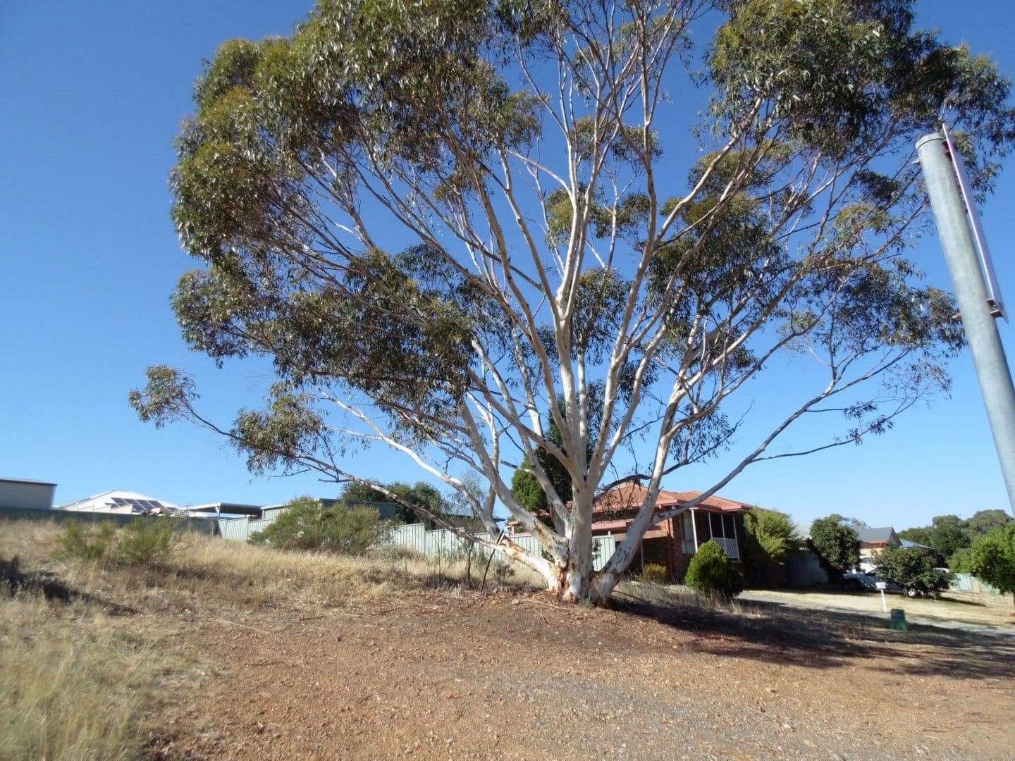 27 Park Street, Parkes NSW 2870, Parkes - Image 1