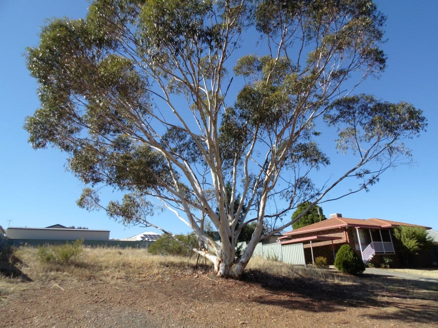 27 Park Street, Parkes NSW 2870, Parkes - Thumbnail 2