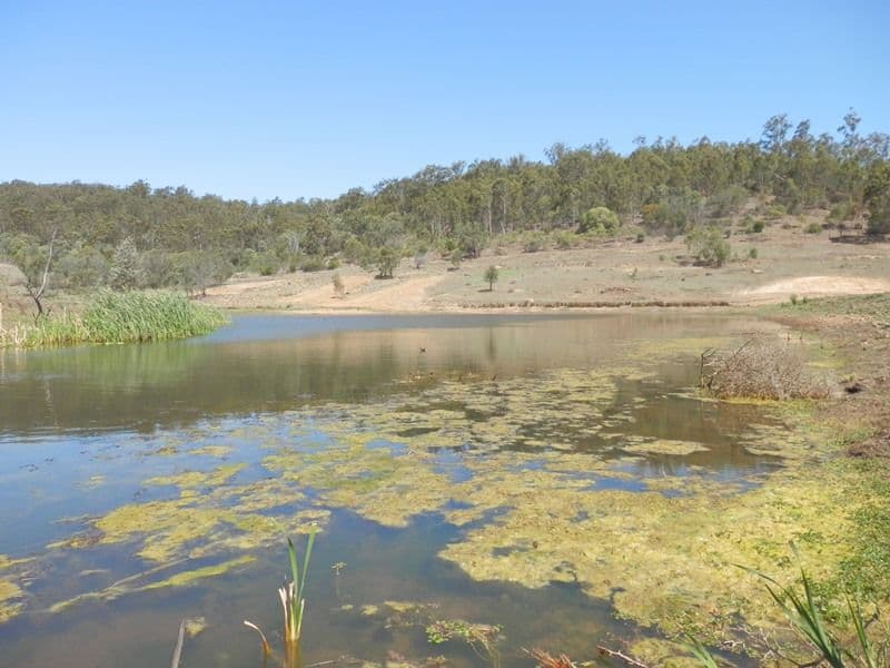 15 Waldron Road, Hatton Vale QLD 4341, Hatton Vale - Thumbnail 3