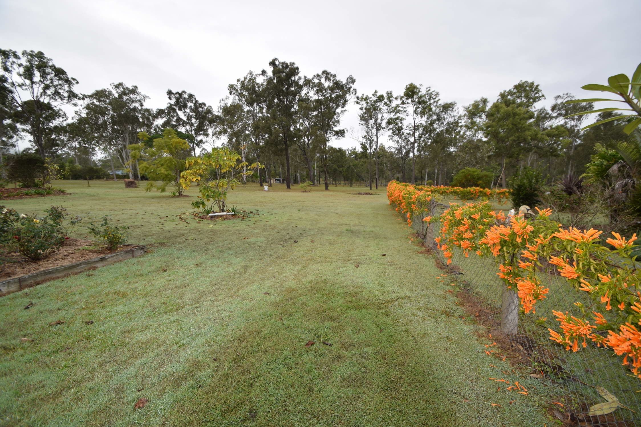 Lot 216 Windsor Drive, Mount Hallen QLD 4312, Mount Hallen - Thumbnail 7