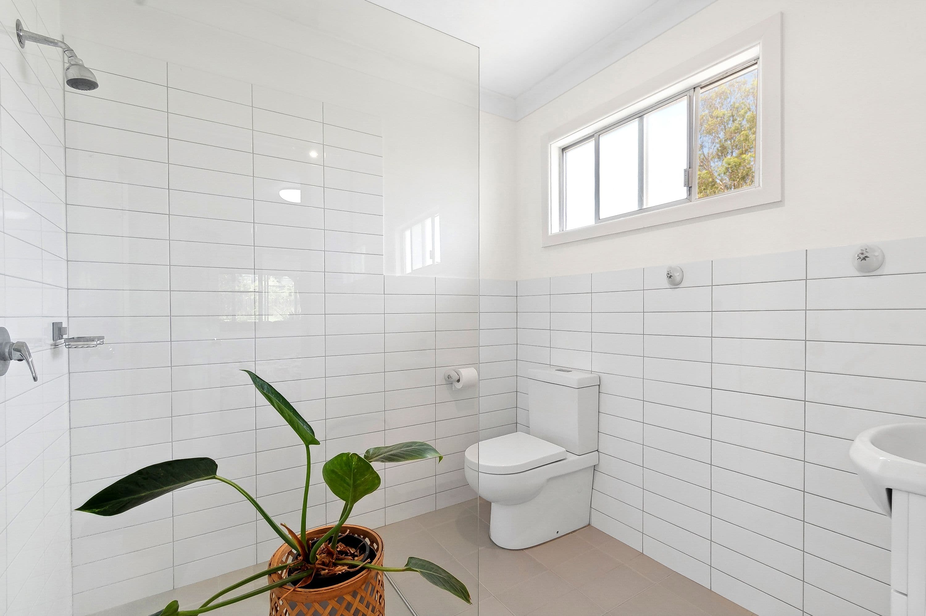11 Lelia Avenue, Freemans Reach NSW 2756, Freemans Reach - Thumbnail 3