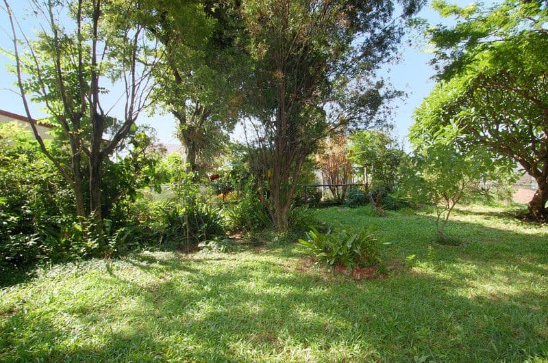 53 Meemar Street, CHERMSIDE QLD 4032, Chermside - Thumbnail 7
