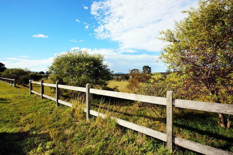 342 Gannet Road, NOWRA HILL NSW 2540, Nowra Hill - Thumbnail 5