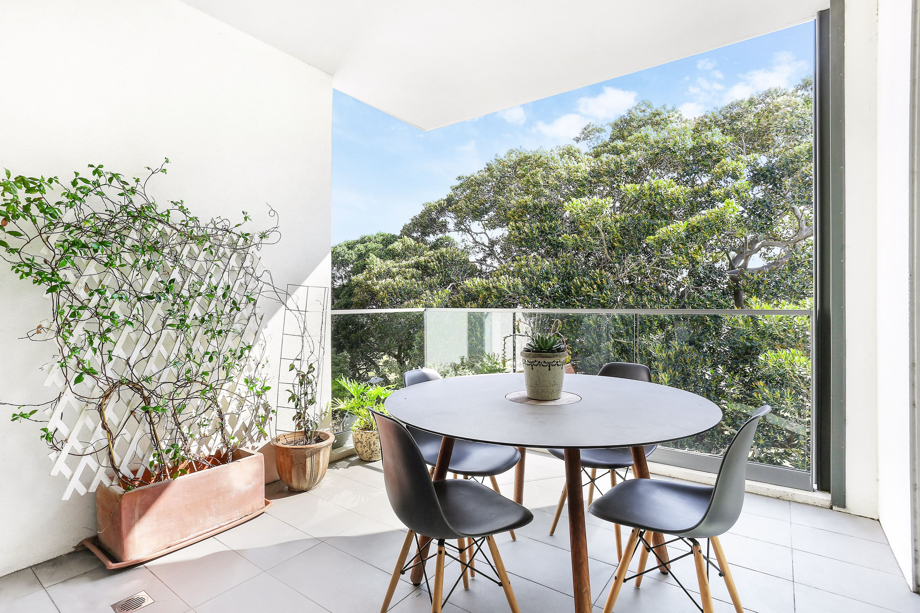 810 Elizabeth Street, Waterloo NSW 2017, Waterloo - Thumbnail 3