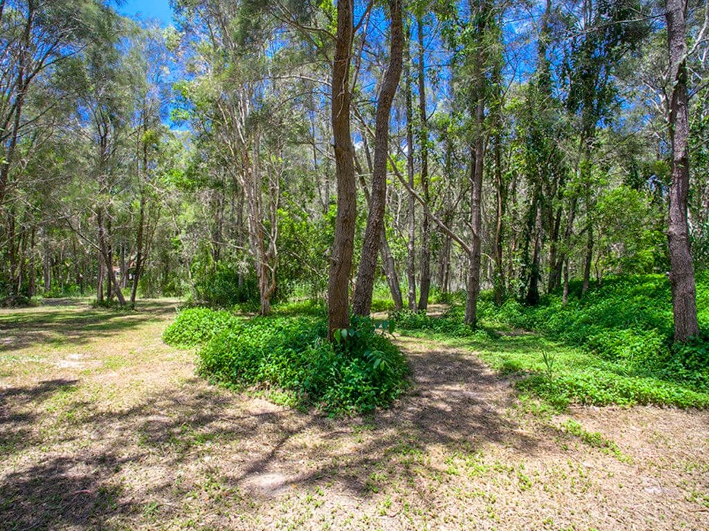 135 Lake Weyba Drive, NOOSAVILLE QLD 4566, Noosaville - Thumbnail 5