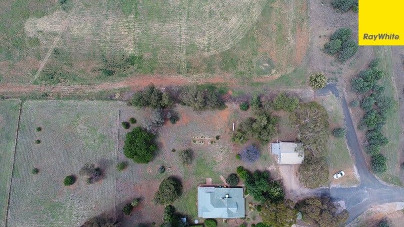 211 Edward Street, Forbes - Thumbnail 4